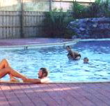 Shark Bay Caravan Park - Accommodation Broome