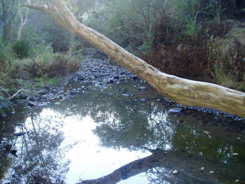 Barkeldine Farm Country Retreat - Accommodation Broome 1