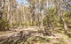 Coree Campground - thumb 0