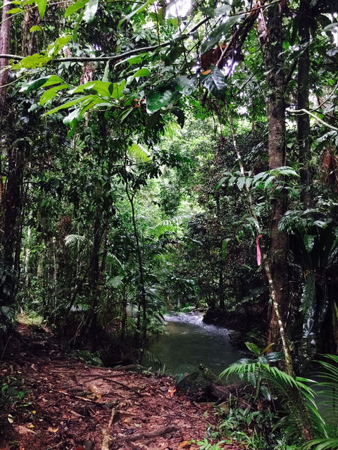 Daintree Wilderness Lodge - Accommodation Broome 2