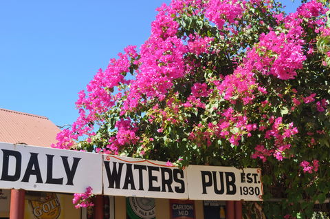 Daly Waters Historic Pub - Accommodation Broome 0