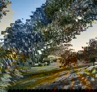 Delicate campground - Accommodation Broome