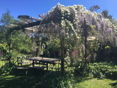 Hawthorne Cottage: Blackheath - Accommodation Broome 2