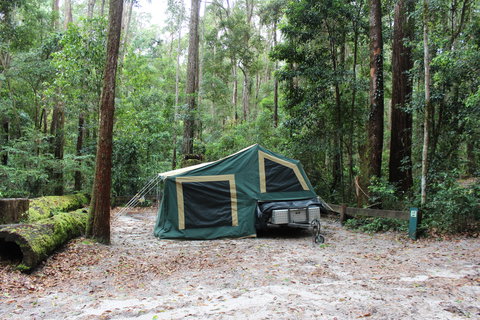K'gari (Fraser Island) Camping, Great Sandy National Park - Accommodation Broome 2