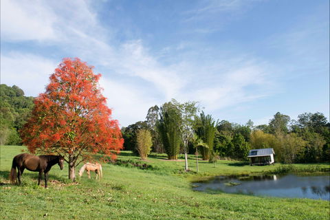 Nimbin Waterfall Retreat - Accommodation Broome 1