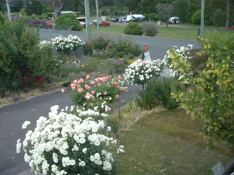 North East Restawhile Bed And Breakfast - Accommodation Broome 2
