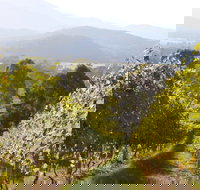 Rosetta's Garden Guesthouse - Accommodation Broome