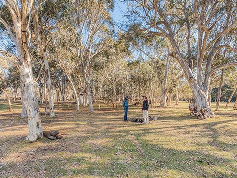 Wares Yards Campground - Accommodation Broome 2