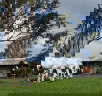 Woodenbong B and B - Accommodation Broome