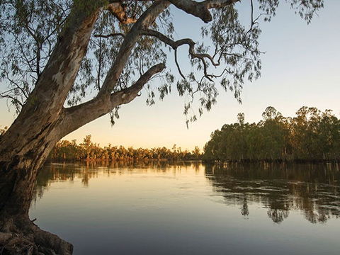 Woperana Campground - Accommodation Broome 0