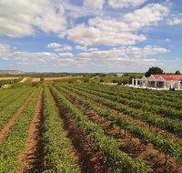 1837 Barossa Luxury Vineyard Cottages - Accommodation Broome
