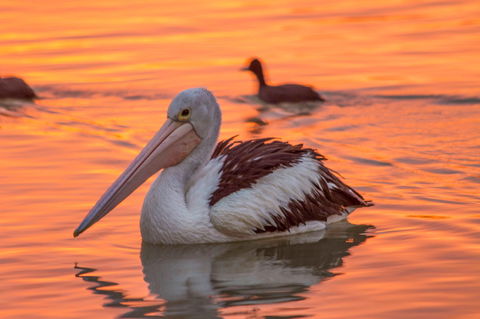 4 Pelican Court - River Shack Rentals - Accommodation Broome 0