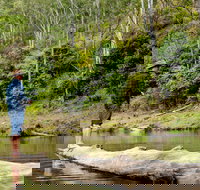 Bass Lodge - Accommodation Broome