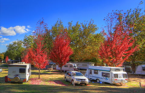Beechworth Lake Sambell Caravan Park - Accommodation Broome 0