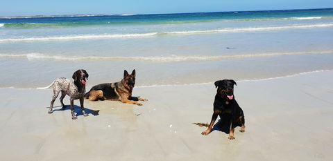 BIG4 Warrnambool Figtree Holiday Park - Accommodation Broome 2