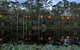Billabong Retreat - thumb 0