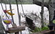 Clyde River Cottage - thumb 0