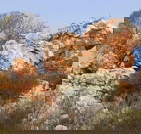 Credo Homestead Camp at Credo Conservation Park - Accommodation Broome