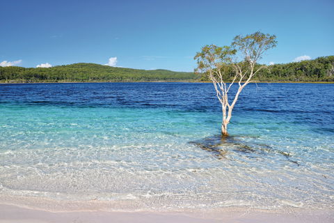 Fraser Island Fishing Units - Accommodation Broome 0