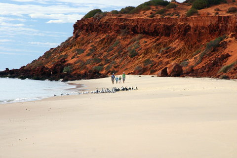 South Gregories Camp At Francois Peron National Park - Accommodation Broome 0