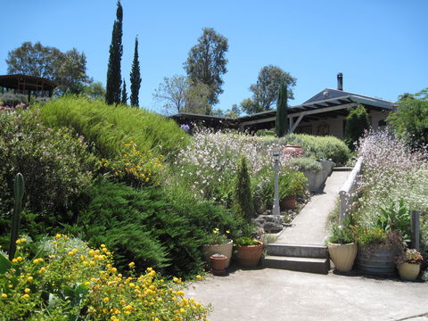 Valley View Cottage Hunter Valley - Accommodation Broome 0