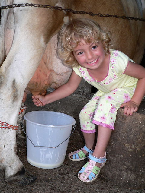Ashmar Farmstay - Accommodation Broome 1