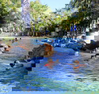 Big4 Aussie Outback Oasis Holiday Park - Accommodation Broome