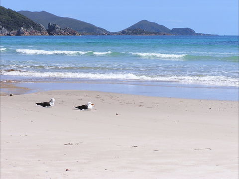 Eagles Rise Tasmania - Accommodation Broome 0