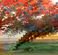 Little Kickabell Country Homestead - Accommodation Broome