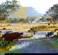 Tommerups Dairy Farmstay - Accommodation Broome