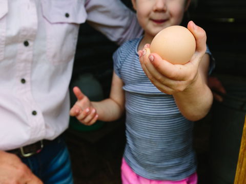 Tommerups Dairy Farmstay - Accommodation Broome 1