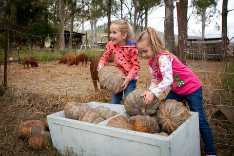 Tommerups Dairy Farmstay - Accommodation Broome 2