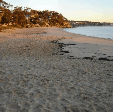 Beachhaven Bed & Breakfast - Accommodation Broome 5