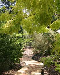 Eagle Hammer Cottages - Accommodation Broome 0