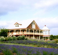 Serendipity Lavender Farm - Accommodation Broome
