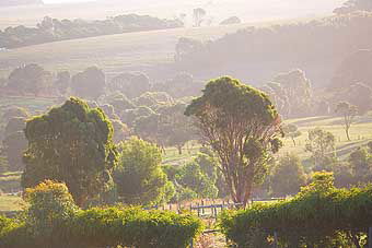 Mackas Farm - Accommodation Broome 0