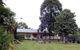 Snowy River Homestead Bed And Breakfast - thumb 2
