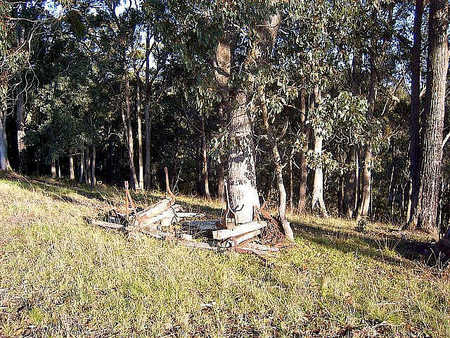 Snowy River Homestead Bed And Breakfast - Accommodation Broome 3