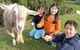 Johanna River Farm And Cottages - thumb 0