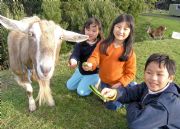 Johanna River Farm And Cottages - Accommodation Broome 0