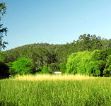 Waterholes Guest House - Accommodation Broome