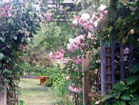 Hudspeth House Bed And Breakfast - Accommodation Broome 2