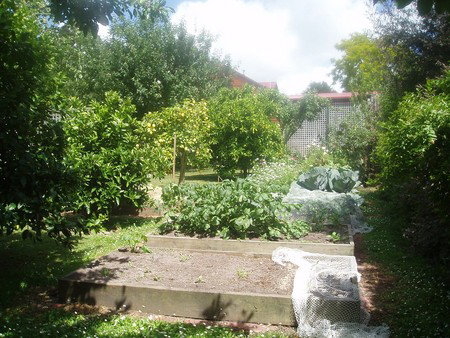 Hudspeth House Bed And Breakfast - Accommodation Broome 4