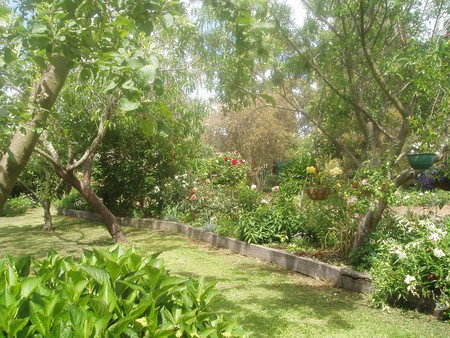 Hudspeth House Bed And Breakfast - Accommodation Broome 5