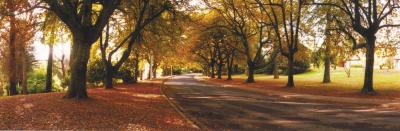 La Trobe At Beechworth - Accommodation Broome 0