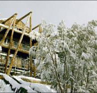 Silverski - Accommodation Broome