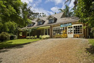 Curtis Falls Mountain Retreat - Accommodation Broome 0