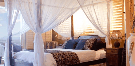 Avocado Sunset - Accommodation Broome 2