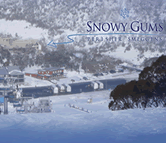 Snowy Gums Chalet - Accommodation Broome 0