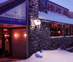 Snowy Gums Chalet - Accommodation Broome 2